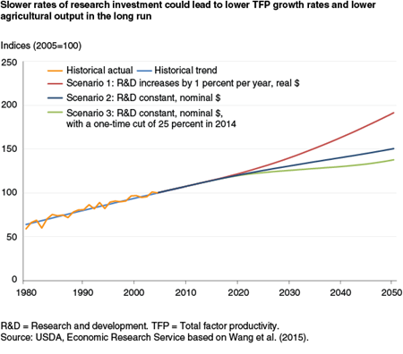 Slower rates of research investment could lead to lower TFP growth rates and lower agricultural output in the long run