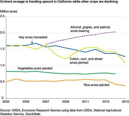 Orchard acreage is trending upward in California while other crops are declining