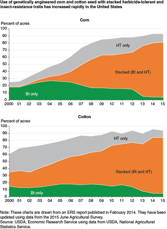 Use of genetically engineered corn and cotton seed with stacked herbicide tolerance and insect resistance traits has increased rapidly in the United States