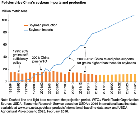 Policies drive China's soybean imports and production