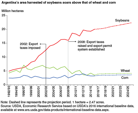 Argentina's area harvested of soybeans soars above that of wheat and corn