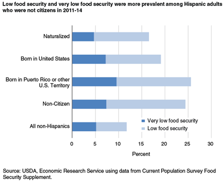 Low food security and very low food security were more prevalent among Hispanic adults who were not citizens in 2011-14
