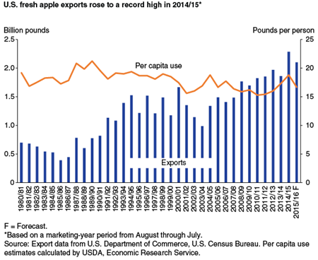 U.S. fresh apple exports rose to a record high in 2014/15*