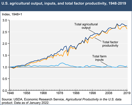 U.S. agricultural output, inputs, and total factor productivity, 1948-2019