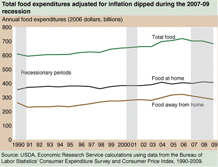 Total food expenditures adjusted for inflation dipped during the 2007-09 recession