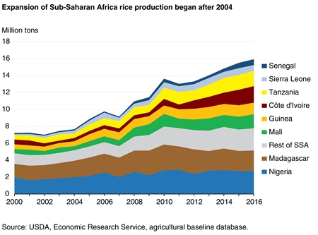 Expansion of Sub-Saharan Africa rice production began after 2004