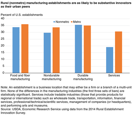 Rural (nonmetro) manufacturing establishments are as likely to be substantive innovators as their urban peers