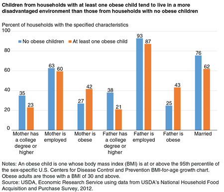 A bar chart showing the share of obese-child and nonobese-child U.S. households with specified characteristics.