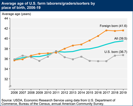 Average age of U.S. farm laborers/graders/sorters by place of birth, 2006-19