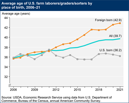 A line chart shows the average age of U.S. farm laborers/graders/sorters by place of birth, 2006–21