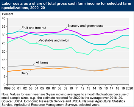 A line chart shows labor costs as a share of total gross cash farm income for selected farm specializations, 2000–20. The categories are All farms; Dairy; Fruit and tree nut; Vegetable and melon; Nursery and greenhouse.