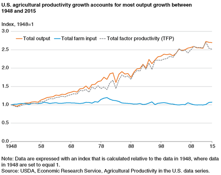 A chart showing historical trends in agricultural productivity, total farm output, and total farm input.