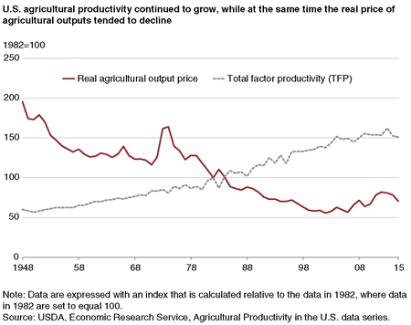 A chart comparing the historical growth in total factor productivity with the decline in real agricultural output prices.
