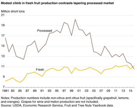A line chart showing fresh fruit and processed fruit production from 1980 through 2016.