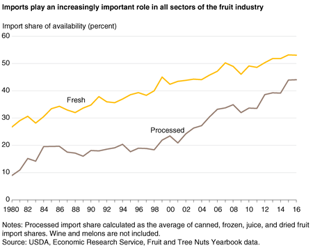 A line chart showing fresh fruit and processed fruit import shares from 1980 through 2016.
