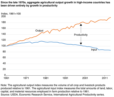 A chart shows that the growth in agricultural output in high-income countries since the late 1970s was driven entirely by the growth in agricultural productivity.