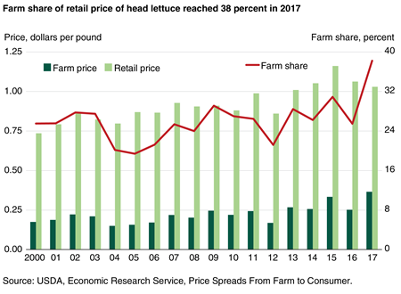 A combination bar and line chart showing the annual farm share and annual farm prices and retail prices per pound for head lettuce for 2000 to 2017
