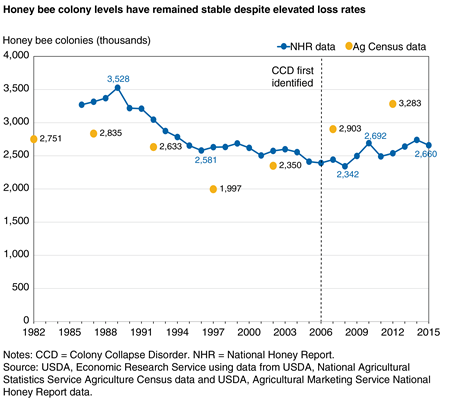A line chart showing estimated U.S. honey bee colony levels over time from 1982 to 2015.