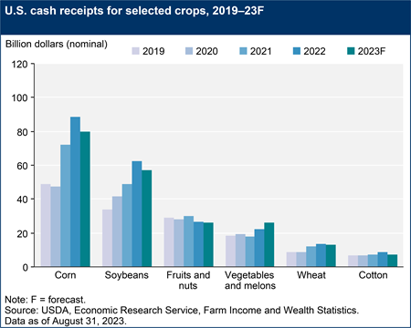 U.S. cash receipts for selected crops, 2019–23F