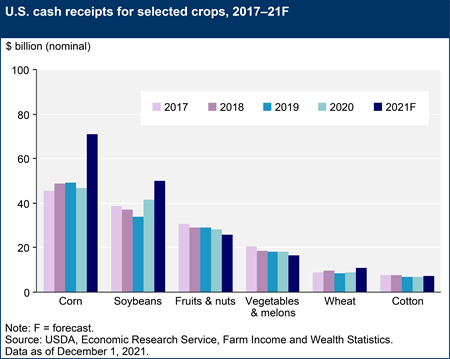 U.S. cash receipts for selected crops, 2017–21F