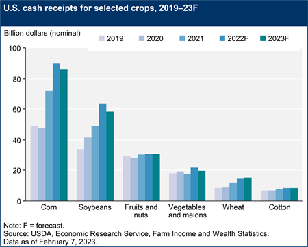 U.S. cash receipts for selected crops, 2018–23F