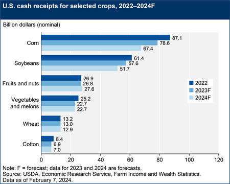A bar chart shows U.S. cash receipts in nominal dollars for corn, soybeans, cotton, and wheat, for the years 2022 and a forecast for 2023 and 2024.