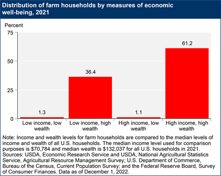 Distribution of farm households by measures of economic well-being, 2021