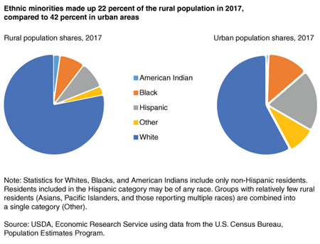 Pie charts show rural minority population shares and urban minoritypopulation shares, 2017