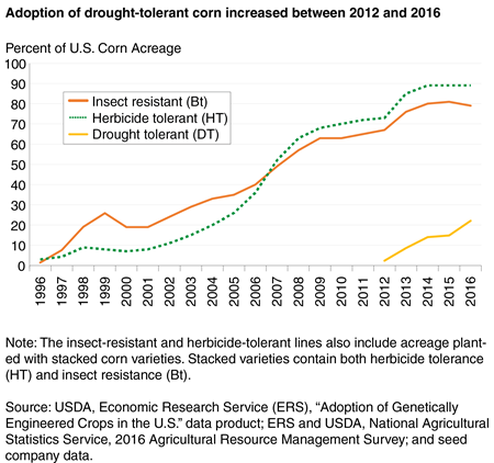 A line chart showing how the adoption of different genetically engineered (GE) corn varieties—insect resistant (Bt), herbicide tolerant (HT), and drought tolerant (DT)—occurred in the United States between 1996 and 2016.