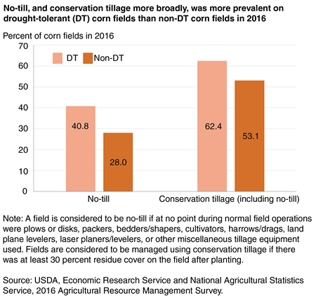 A bar chart showing that no-till, and conservation tillage more broadly, was more prevalent on drought-tolerant (DT) corn fields than on non-DT corn fields in 2016.
