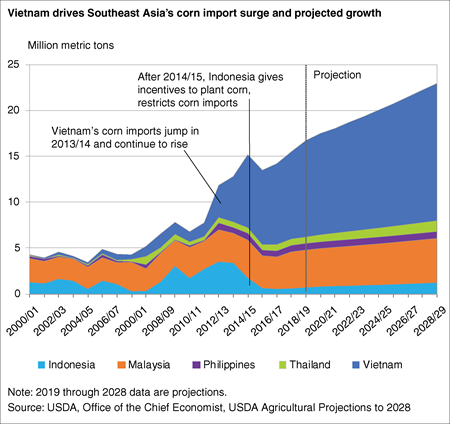 Area chart showing Vietnam in relation to other Southeast Asia corn imports from 2000 through the 2028 projection period