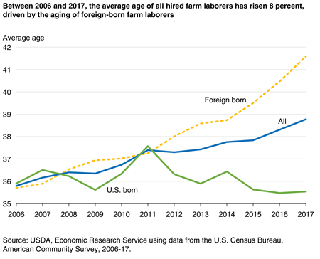 A chart shows that, between 2006 and 2017, the average age of all hired farm laborers rose 8 percent, driven by the aging of foreign-born farm laborers.