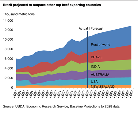 An area chart showing actual and projected beef exports, by country, from 2000 to 2029