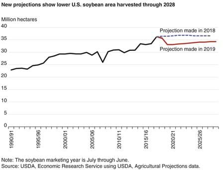 A line chart showing projected U.S. soybean area harvested through 202