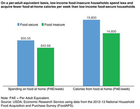 A bar chart showing spending on food at home and calories from food at home on a per adult equivalent basis for low-income food insecure households and low-income food secure households