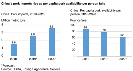 Two-part bar chart showing China’s pork imports and pork disappearance in 2018, 2019, and 2020 (with 2019 and 2020 projected)