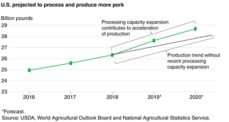 Line chart showing U.S. pork output from 2016 to 2020, with 2019 and 2020 projected, and identifying for 2019 and 2020 the projected contribution of processing capacity expansion to production