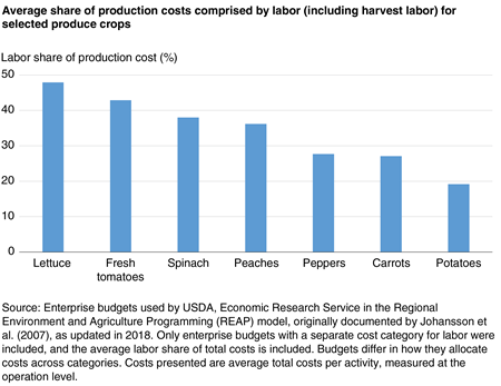 Bar chart showing average share of production costs comprised by labor (including harvest labor) for selected produce crops