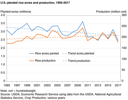 Line chart showing U.S.-planted rice acres and production, 1995-2017