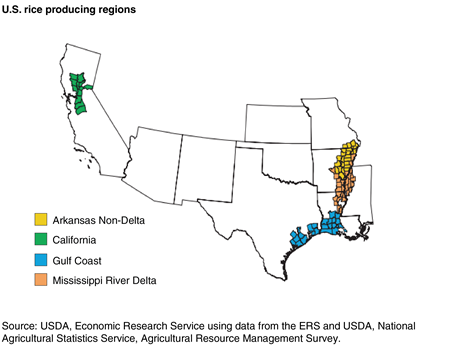 A map showing the U.S. rice producing regions