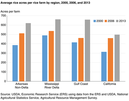 A bar chart showing the average rice acres per rice farm by region, 2000, 2006, and 2013
