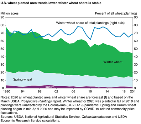 A stacked area chart indicating U.S. wheat planted area by wheat class from 1990 through 2020, and that while overall trends by class have decreased, winter wheat’s share of the total is stable.