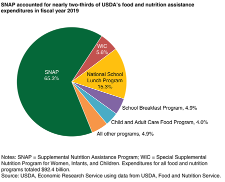 Pie chart showing the share of total USDA food and nutrition assistance expenditures by program for fiscal year 2019