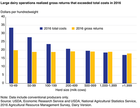 A bar chart shows that large dairy operations realized gross returns that exceeded total costs in 2016.