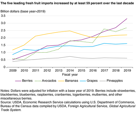 A line graph showing the growth by value over the last decade in the top 5 imported fresh fruit products—berries, avocadoes, bananas, grapes, and pineapples—with berries showing the largest value as of 2018.