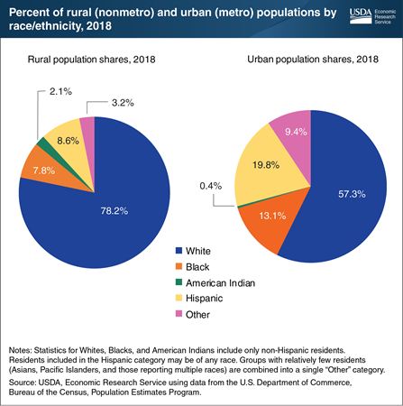 percent_of_rural_and_urban_populations_by_race_ethnicity_2018_450px.png