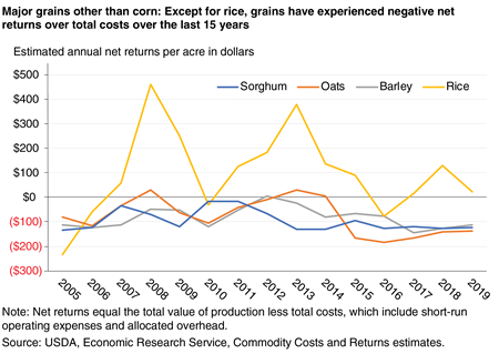 A line graph that shows estimated annual net returns for major grains other than corn, indicating that grains other than rice have experienced negative net returns over total costs during the last 15 years.
