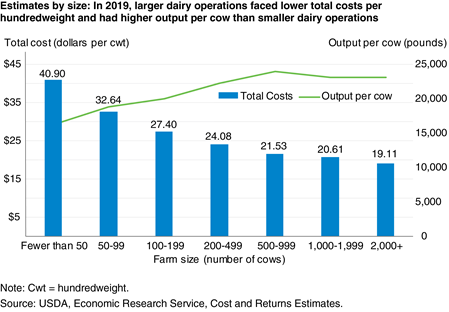A combination bar and line chart that shows in 2019, larger dairy operations faced lower total costs per hundredweight and had higher output per cow than smaller dairy operations.