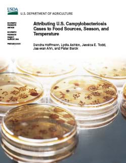 This is the cover of the Attributing U.S. Campylobacteriosis Cases to Food Sources, Season, and Temperature report.