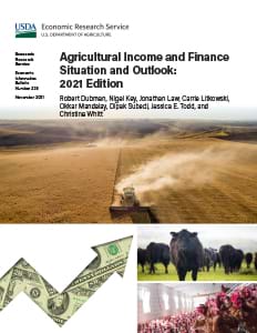 This is the cover image for the Agricultural Income and Finance Situation and Outlook: 2021 Edition report.